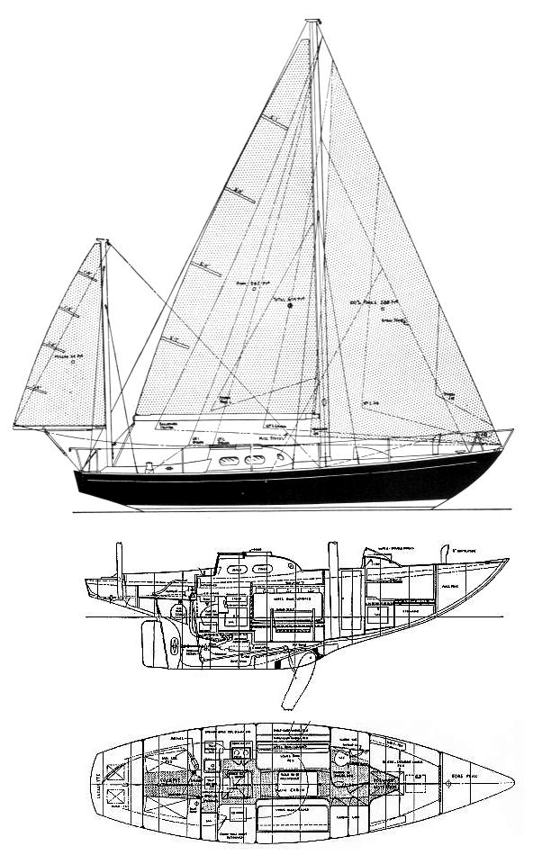 Pearson Invicta Drawing