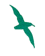 Pearson Petrel Insignia